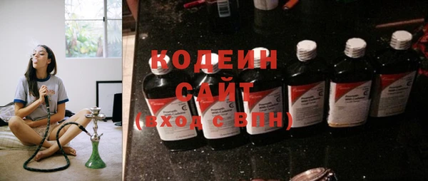 МДПВ Бородино