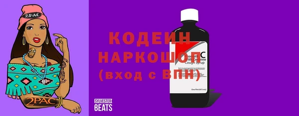 МДПВ Бородино