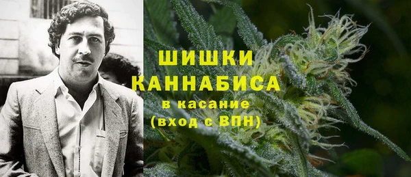 МДПВ Бородино