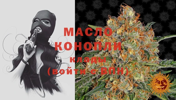 МДПВ Бородино