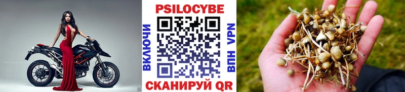 Галлюциногенные грибы Psilocybine cubensis  Вольск 